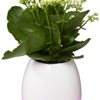 Green Thumb Flower Pot  Bluetooth® högtalare