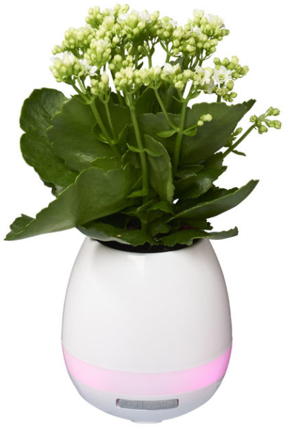 Green Thumb Flower Pot  Bluetooth® högtalare