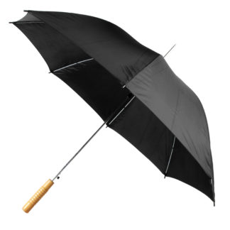 Paraply automatiskt